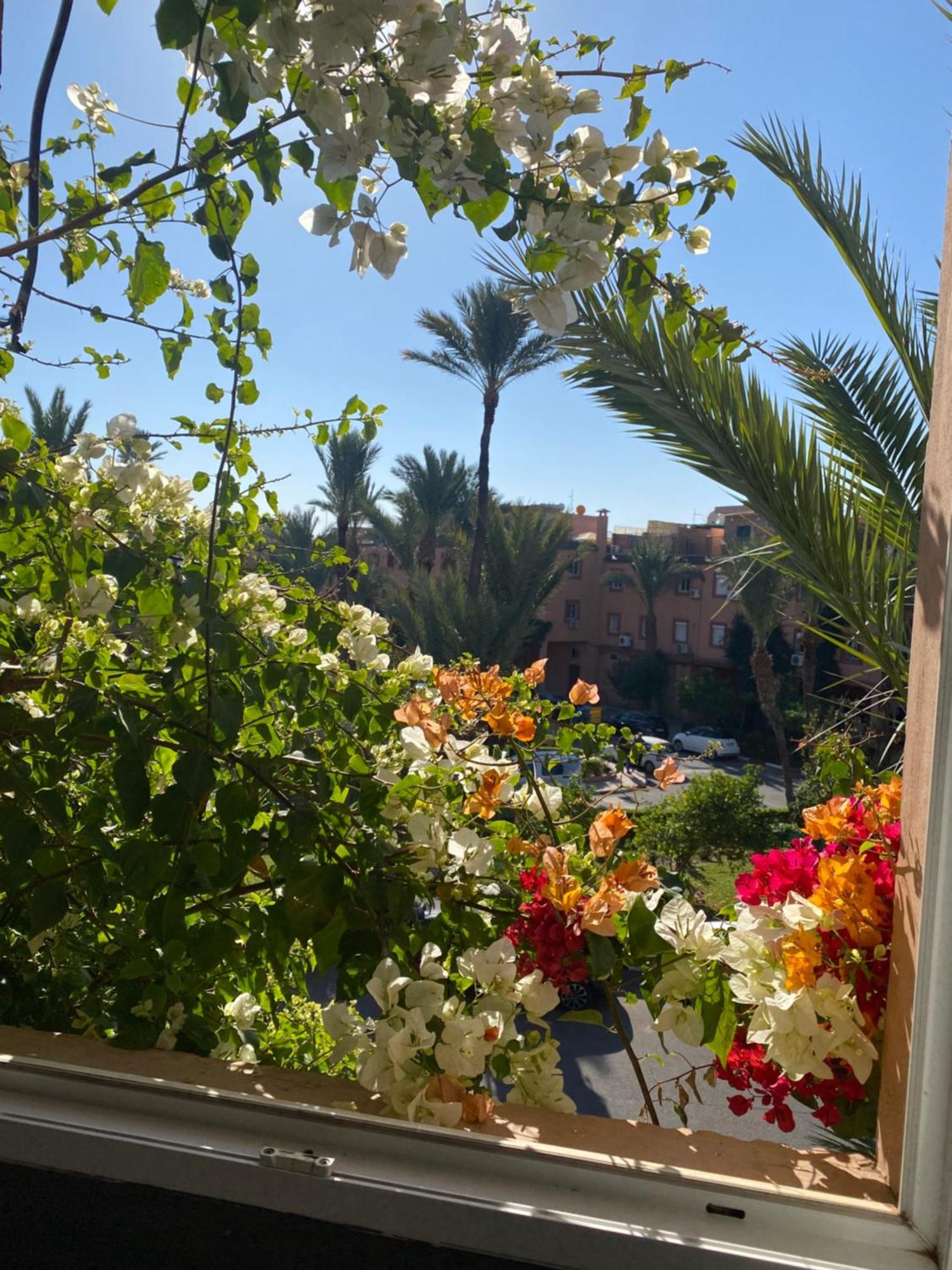 Riad Palmier Fleuri マラケシュ エクステリア 写真